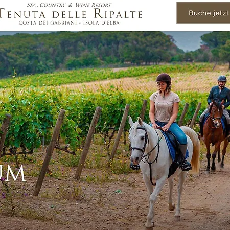 Casa Elisio Og Innamorata, Elba * Palazzo (Livorno)