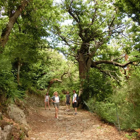 Appartamento Casa Elisio Og Innamorata, Elba *