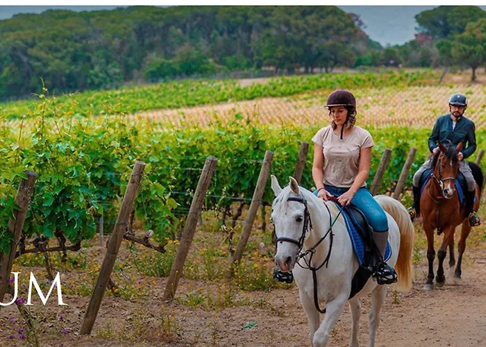 Casa Elisio Og Innamorata, Elba * Palazzo