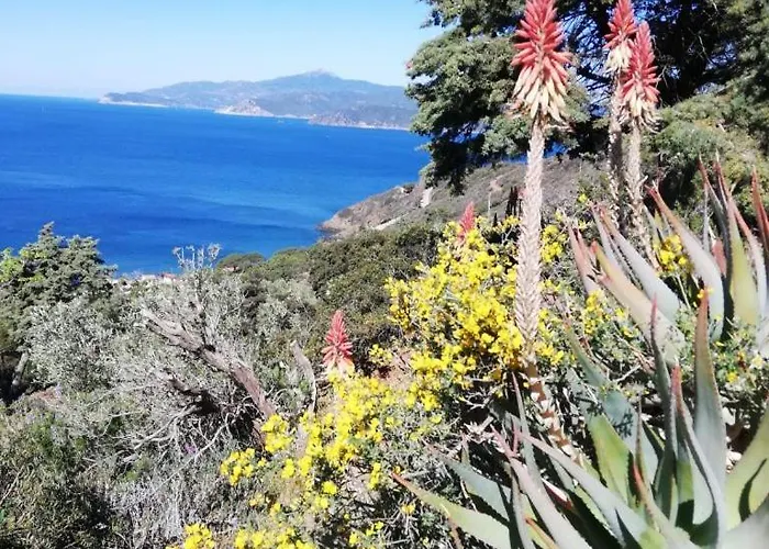 Casa Elisio Og Innamorata, Elba
